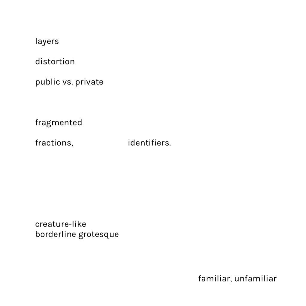 Shion Skye Carter word poem: 
layers
distortion
public vs. private
fragmented
fractions, identifiers.
creature-like
borderline grotesque
familiar, unfamiliar