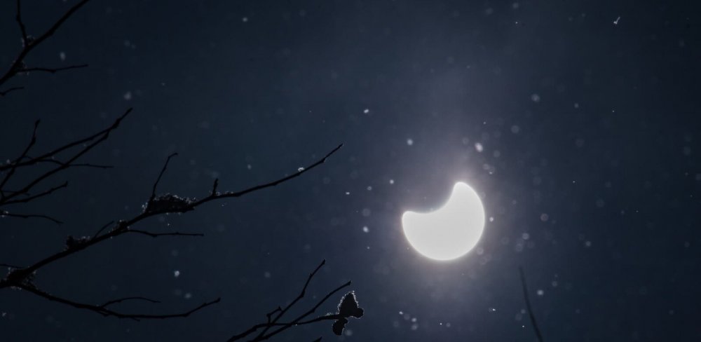 Partial moon in dark sky with tree branch in foreground